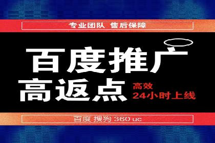 SEM推广实战：成功案例剖析