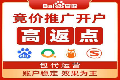 某公司通过百度竞价实现业务快速增长的案例